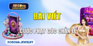 Cược phạt góc chẵn lẻ